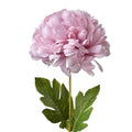 Chrysant Lila Large