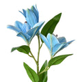 Lelie blauw