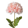 Chrysant Roze Large