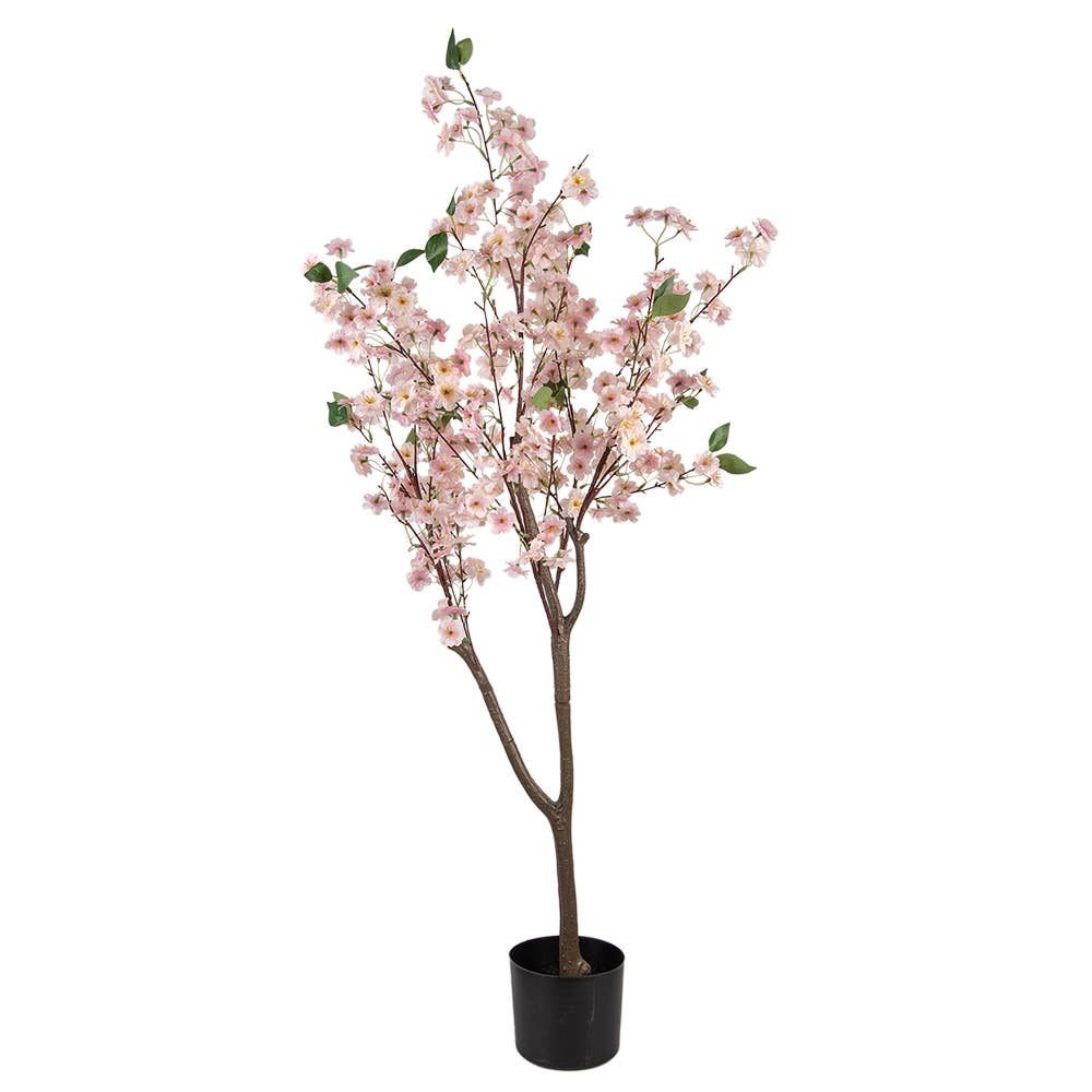 Kersenbloesem Roze 120cm