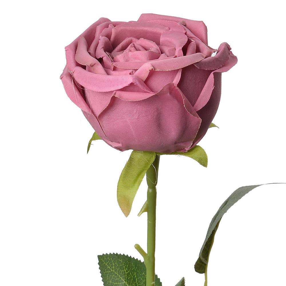 Roos zacht Roze