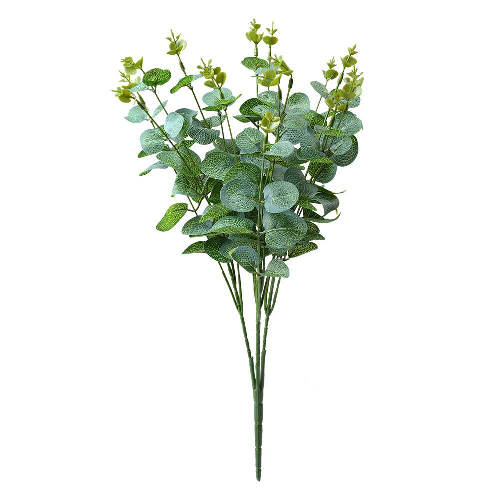 Eucalyptus Groen