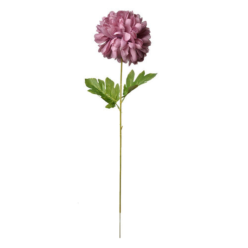 Chrysant Paars Large