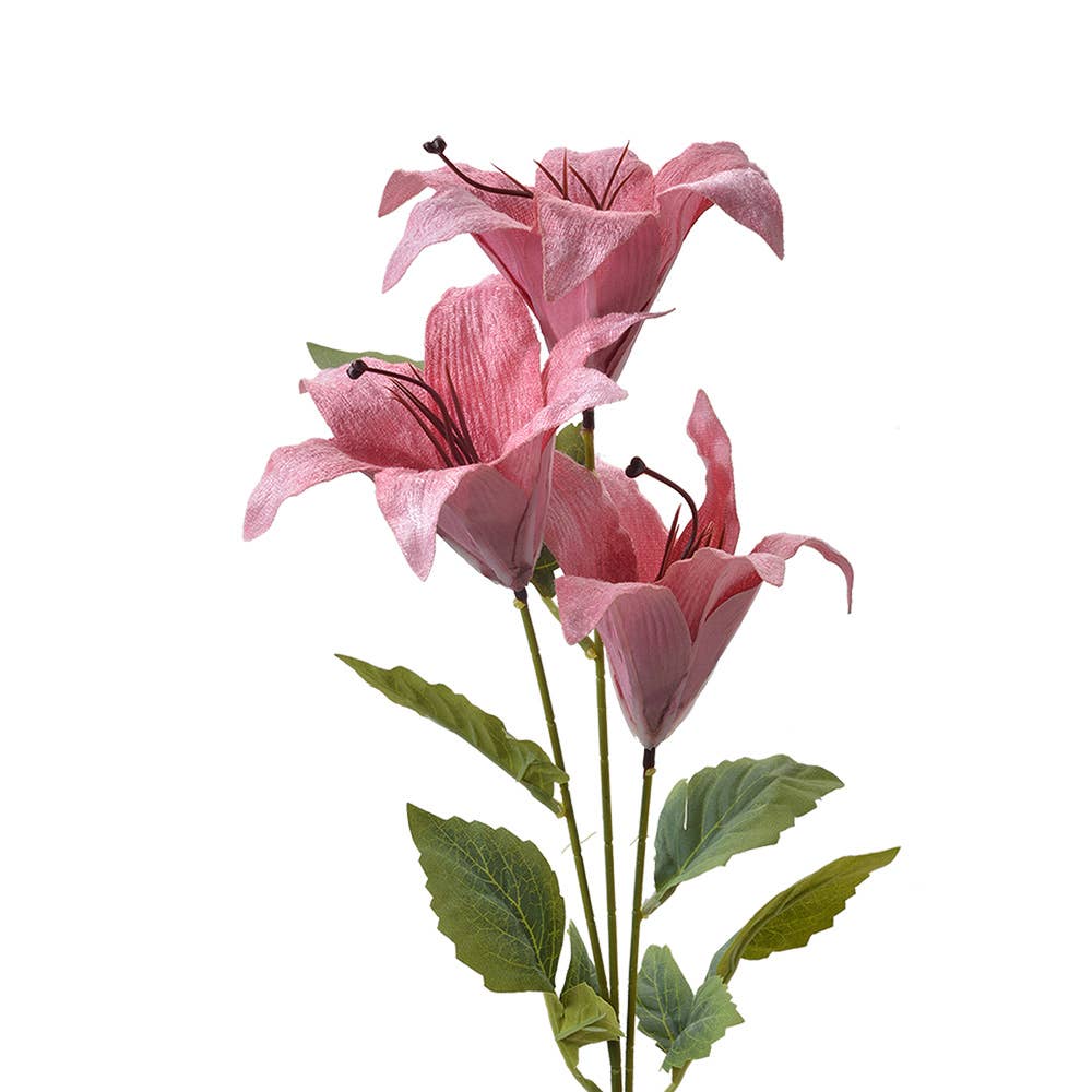 Lelie Roze