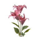 Lelie Roze