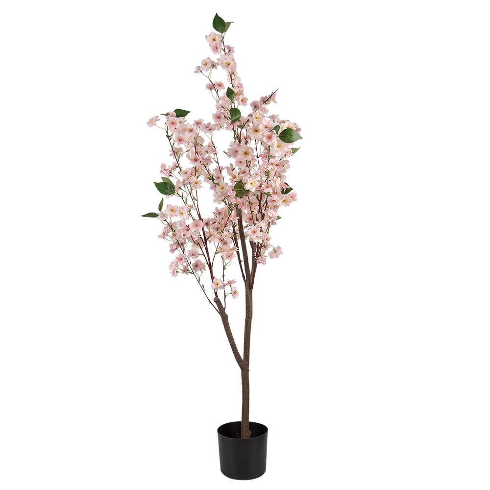 Kersenbloesem Roze 120cm