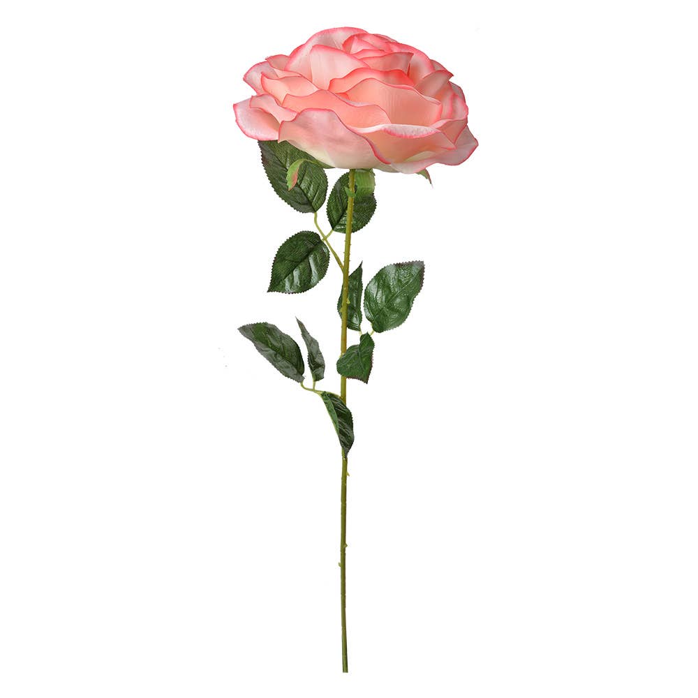 Roze Roos XL