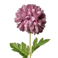 Chrysant Paars Large