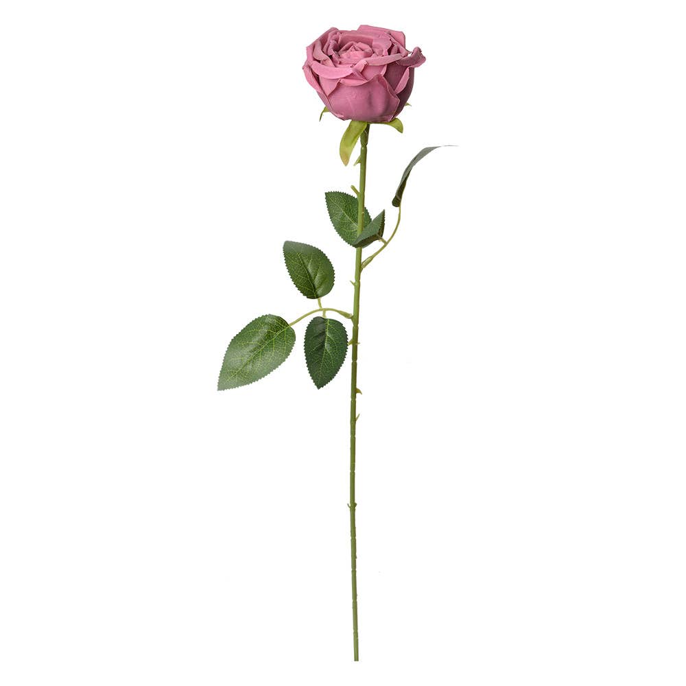 Roos zacht Roze