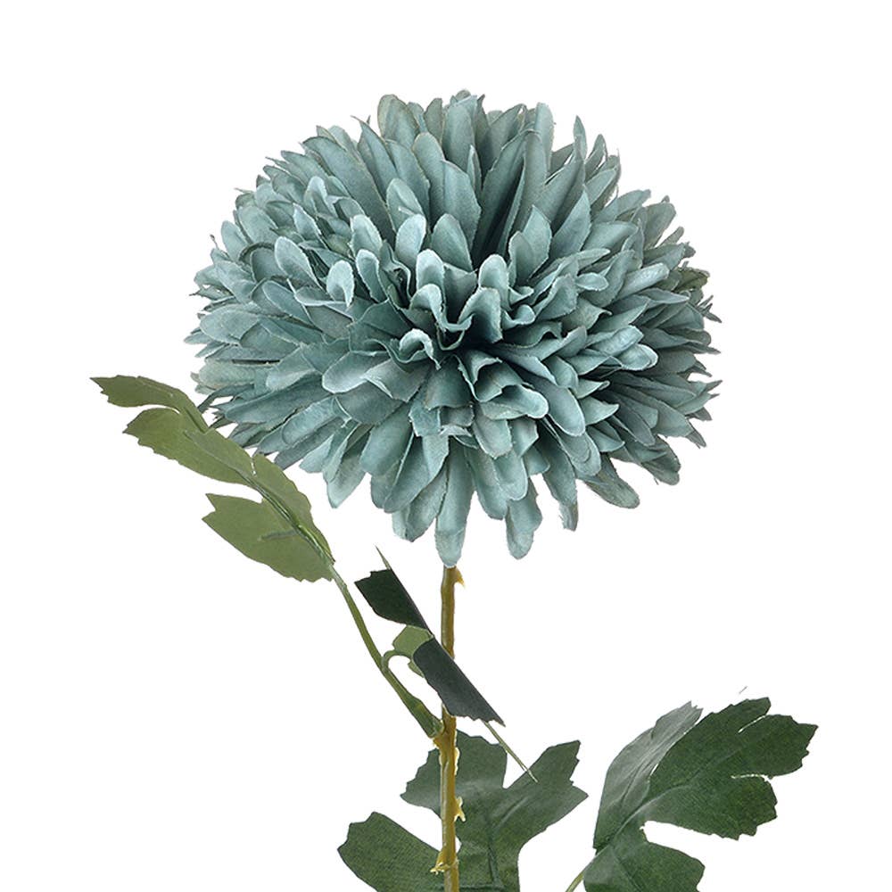 Chrysant Blauw small