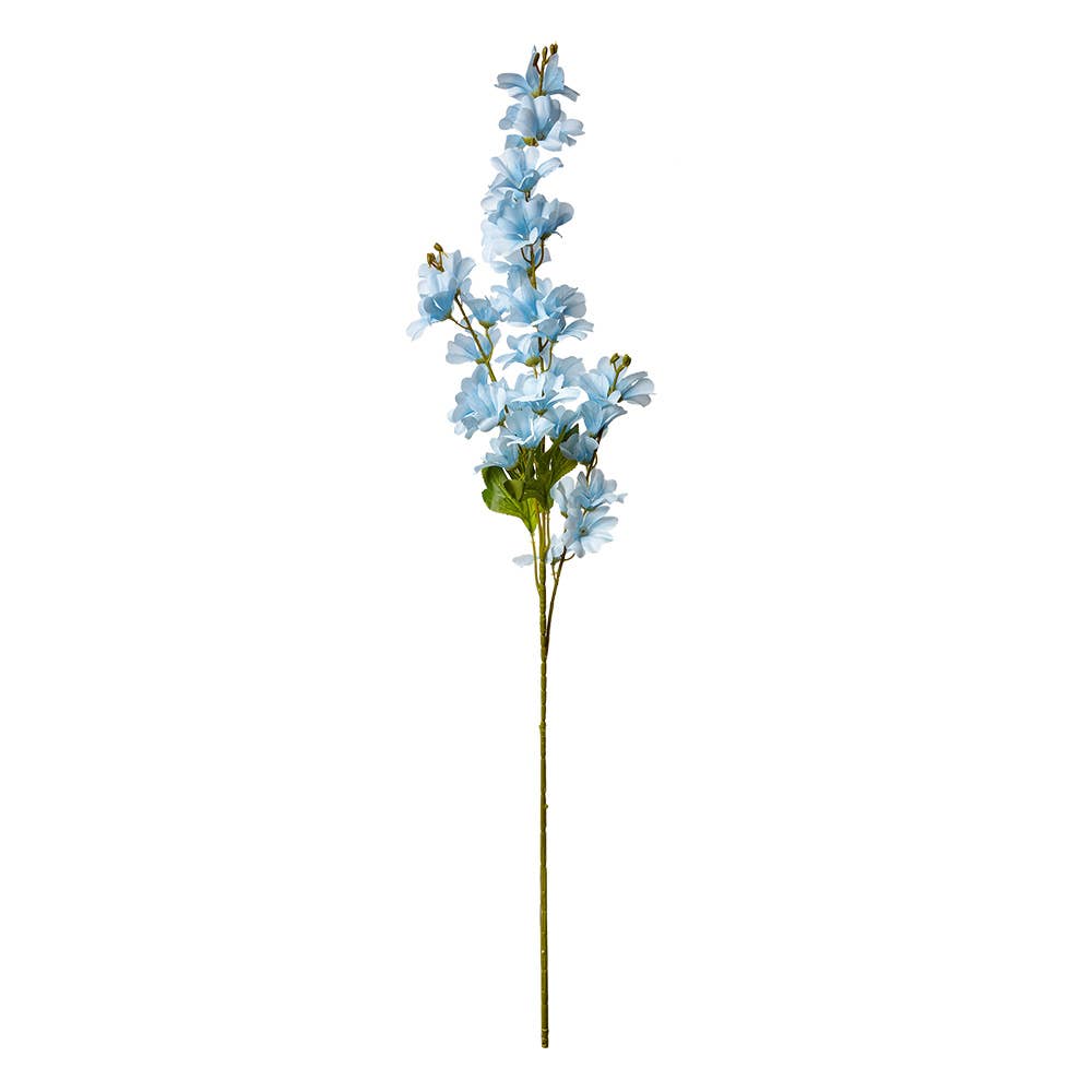 Ridderspoor Blauw