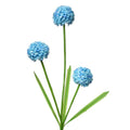 Allium Blauw