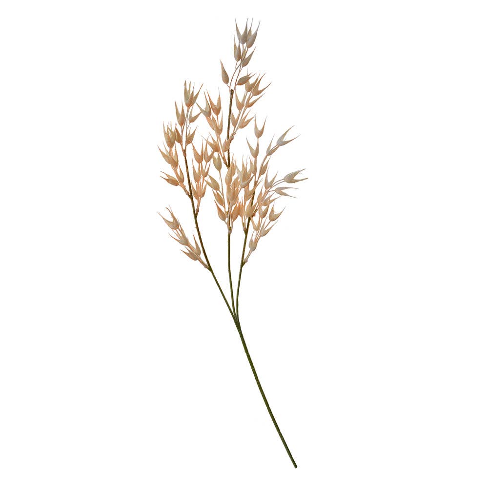 Oat Grass tak