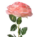 Roze Roos XL
