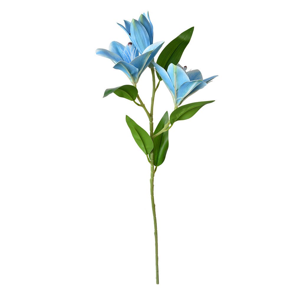 Lelie blauw