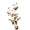 Anamoontak Roze