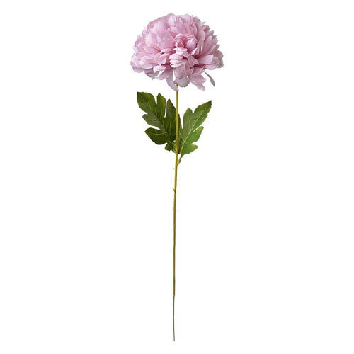Chrysant Lila Large