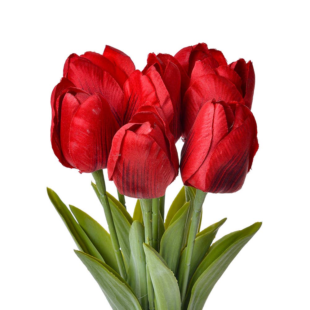 Rood tulpen boeket