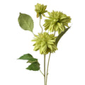 Dahlia Groen