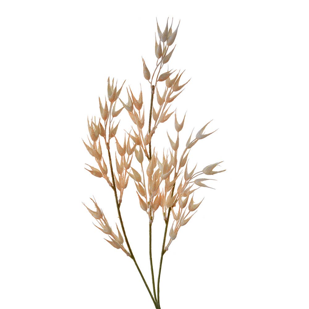 Oat Grass tak
