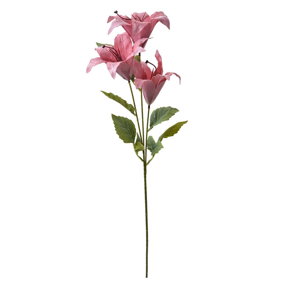 Lelie Roze