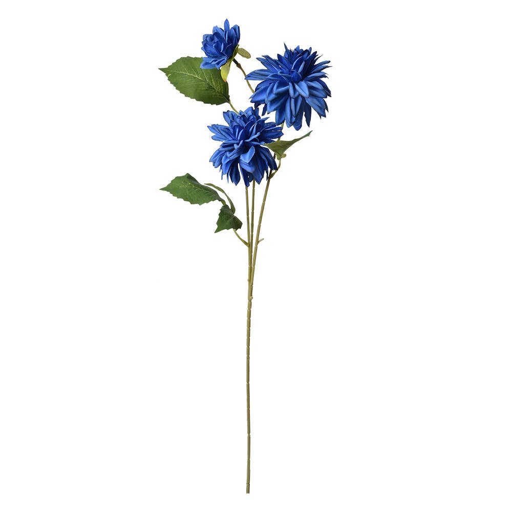 Dahlia donkerblauw