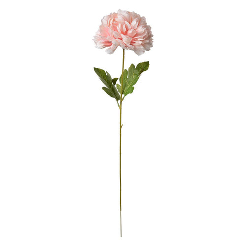 Chrysant Roze Large