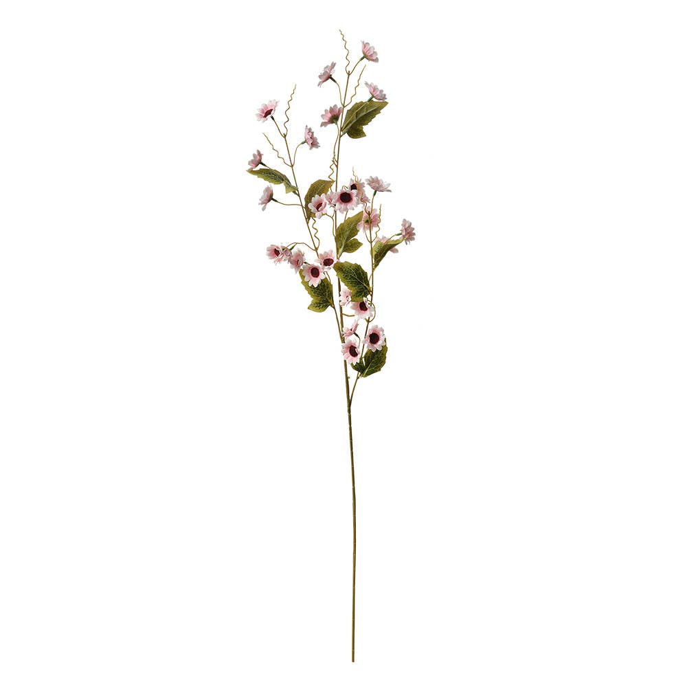 Anamoontak Roze