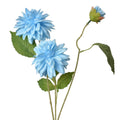 Dahlia Lichtblauw