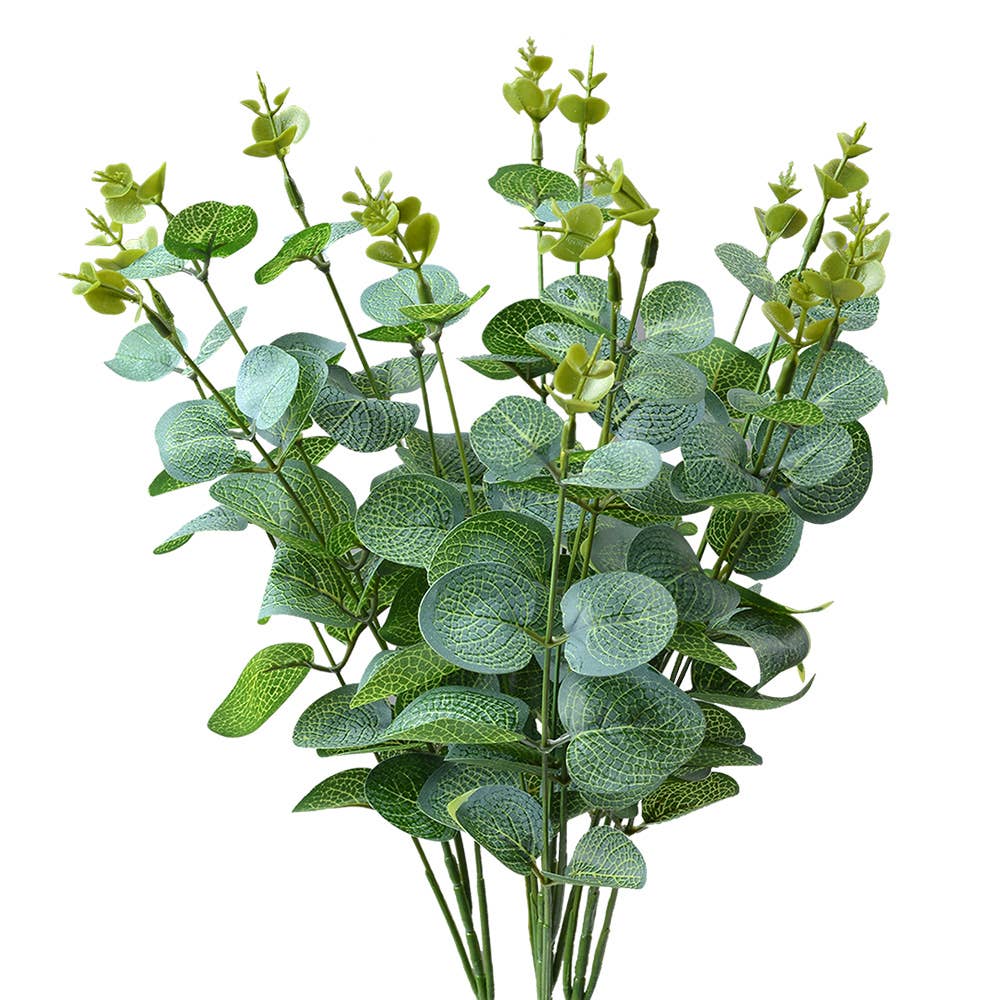 Eucalyptus Groen