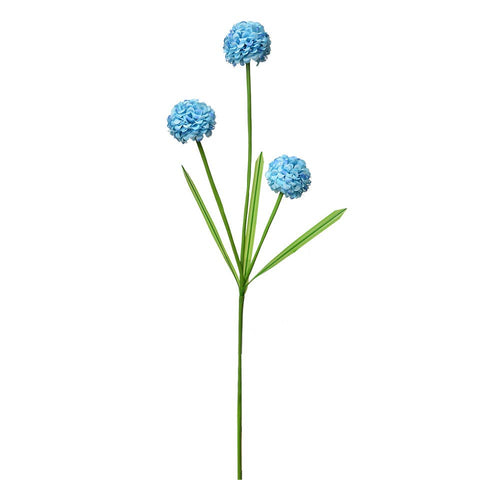 Allium Blauw