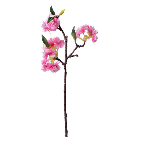 Bloesemtak Roze