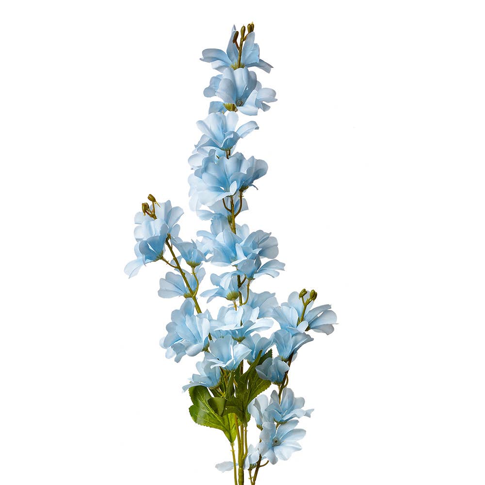 Ridderspoor Blauw