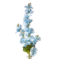 Ridderspoor Blauw